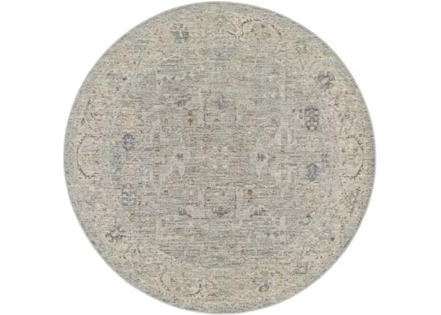 Avant Garde 10' x 14' Rug