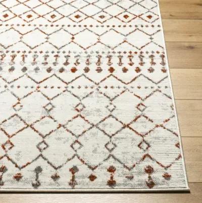 Pisa PSS-2368 6'7" x 9' Machine Woven Rug