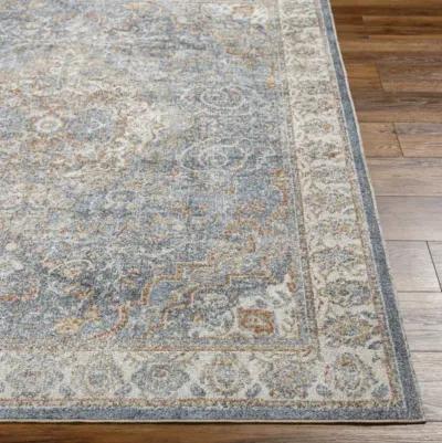 Lillian LLL-2321 9'2" x 12'4" Machine Woven Rug