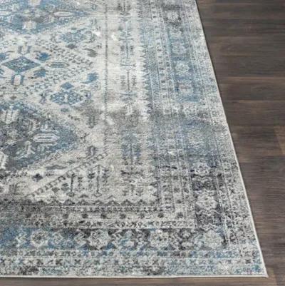 Monte Carlo 3'11" x 5'7" Rug