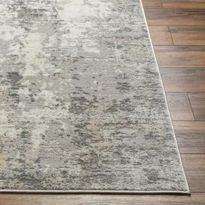 Alamo ALO-2304 7'10" x 10' Machine Woven Rug