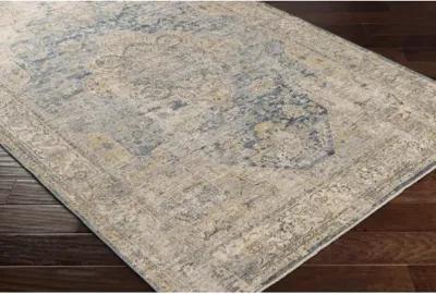 Aspendos APS-2304 2'7" x 10' Rug