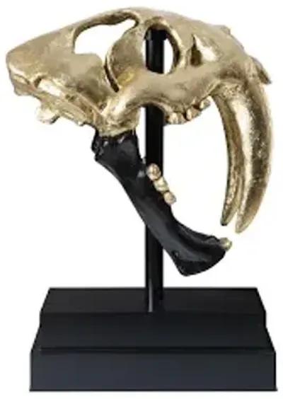 saber tooth tiger skull, black, gold leaf