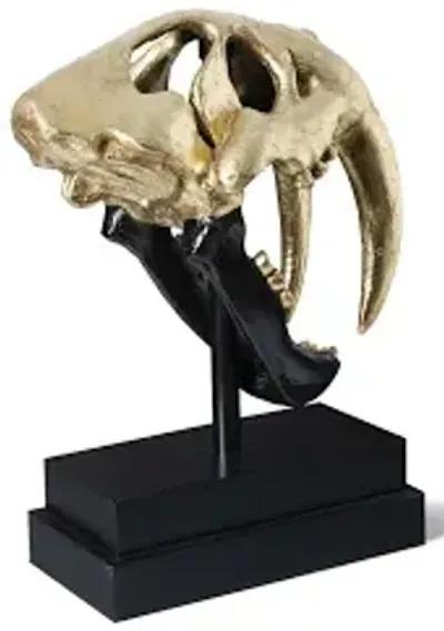 saber tooth tiger skull, black, gold leaf