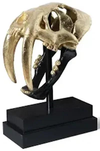 saber tooth tiger skull, black, gold leaf