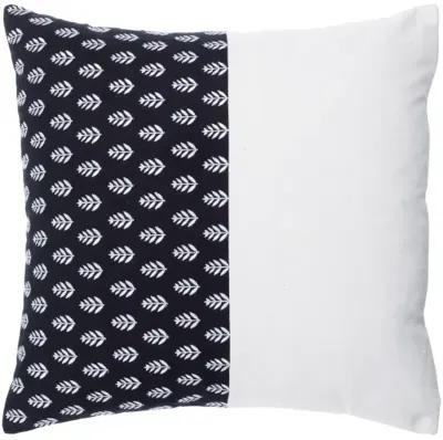 Chromatique CTQ-002 20"L x 20"W Accent Pillow