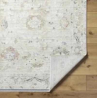 Rivaldo RVD-2305 2'7" x 7'10" Machine Woven Rug