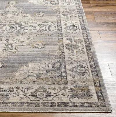 Aida AAD-2301 5' x 7'9" Machine Woven Rug