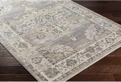 Aida AAD-2301 5' x 7'9" Machine Woven Rug