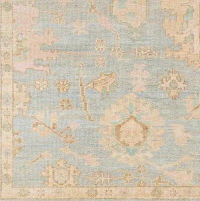 Antalya AAT-2310 9' x 12' Handmade Rug