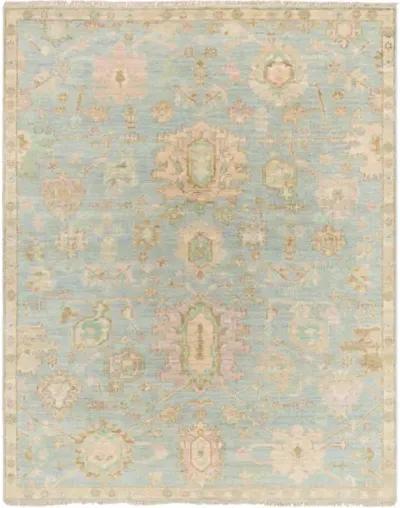 Antalya AAT-2310 9' x 12' Handmade Rug