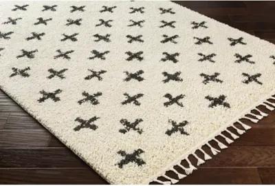 Berber Shag Rug