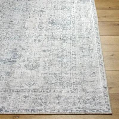 Embrace EMA-2309 8'10" x 12' Machine Woven Rug