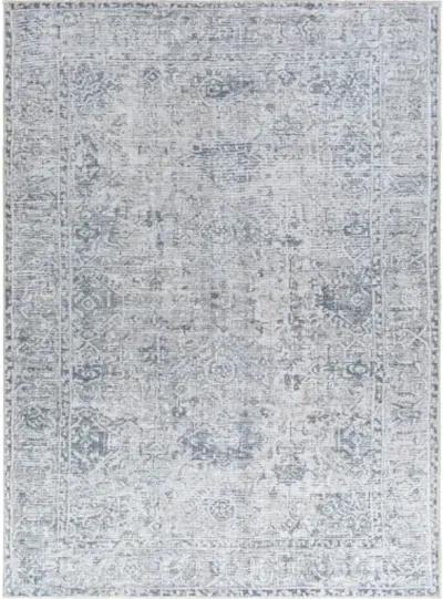 Embrace EMA-2309 8'10" x 12' Machine Woven Rug