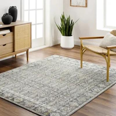 Bitlis BSI-2304 7'10" x 10' Machine Woven Rug