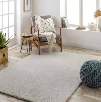 Cloudy Shag CDG-2301 5'3" x 7' Machine Woven Rug