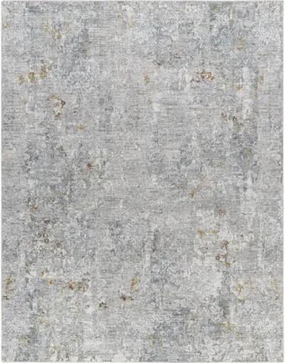 Dresden DRE-2319 2'7" x 10' Machine Woven Rug