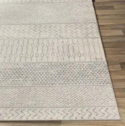 Monaco 2'7" x 7'3" Rug