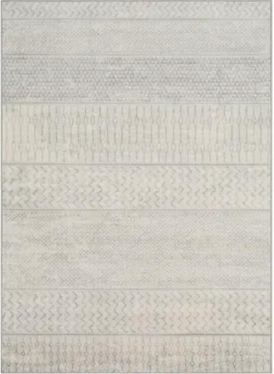 Monaco 2'7" x 7'3" Rug