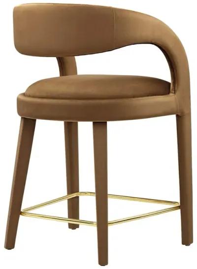 Pinnacle Performance Velvet Counter Stool Set of Two