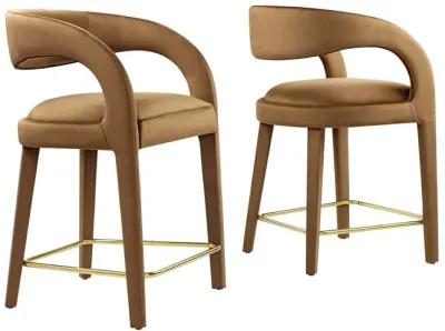 Pinnacle Performance Velvet Counter Stool Set of Two