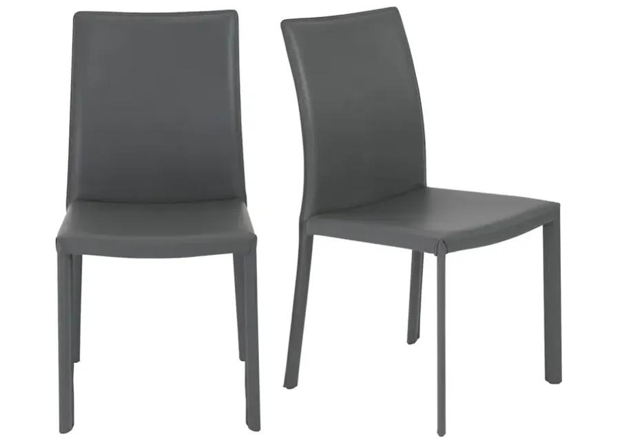 Hasina Side Chair in Gray - Set of 2