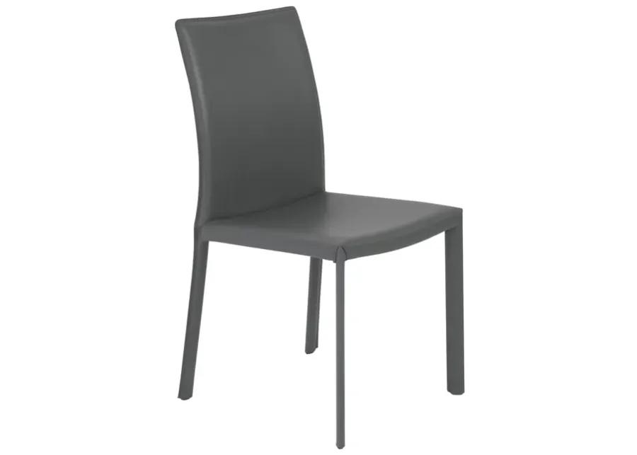 Hasina Side Chair in Gray - Set of 2