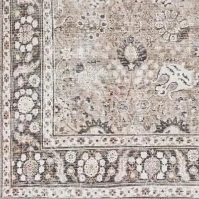 Colin CLN-2300 2'7" x 10' Rug