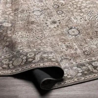 Colin CLN-2300 2'7" x 10' Rug