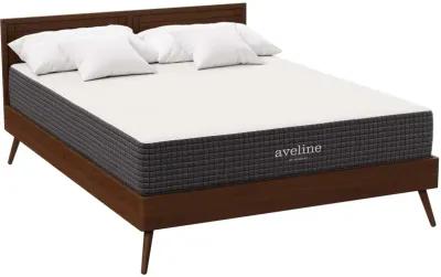 Aveline 10" Queen Mattress