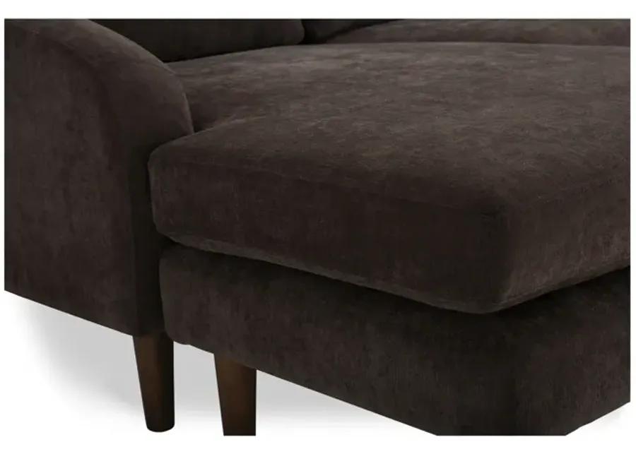 Quinn Sectional Dark Brown