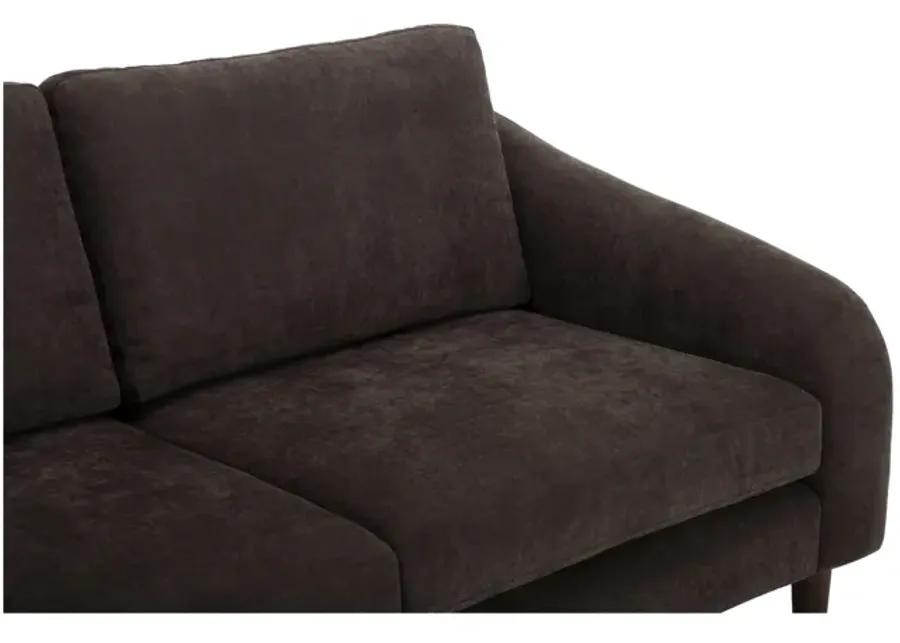 Quinn Sectional Dark Brown