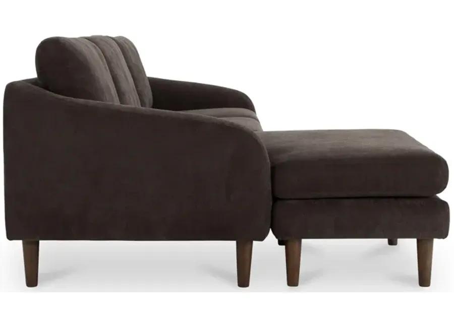 Quinn Sectional Dark Brown