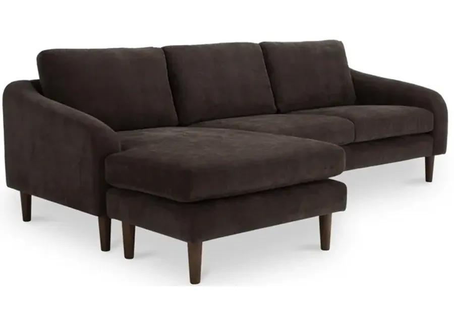 Quinn Sectional Dark Brown