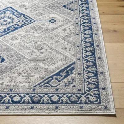 Alamo ALO-2317 7'10" x 10' Machine Woven Rug