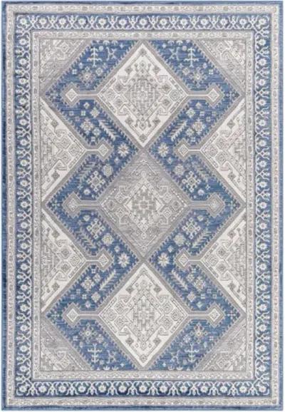 Alamo ALO-2317 7'10" x 10' Machine Woven Rug