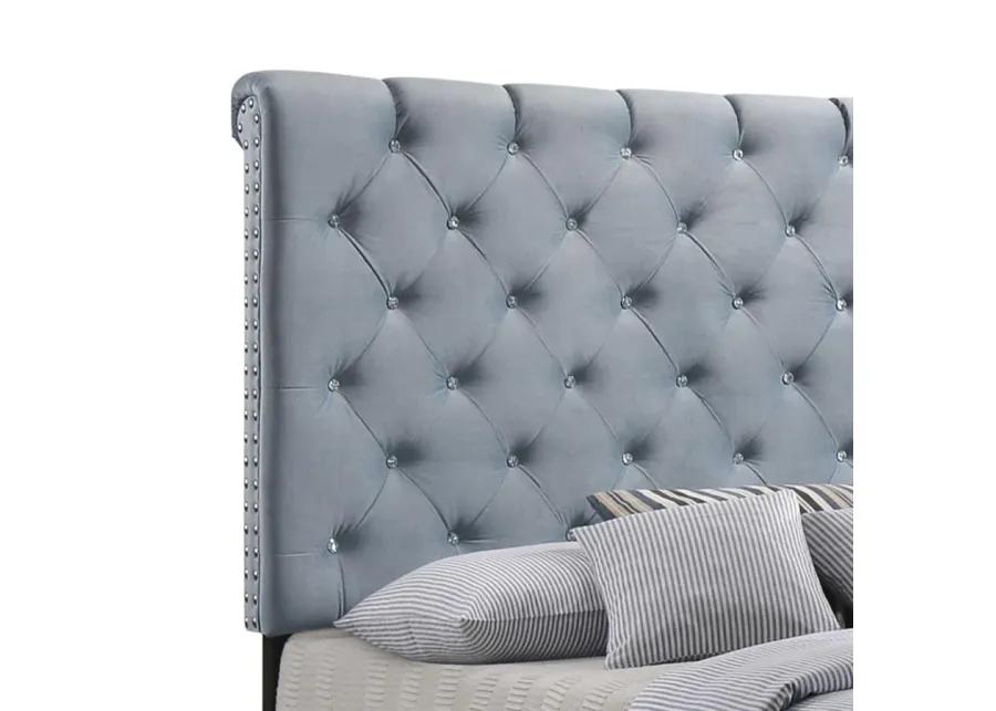 Warner Queen Upholstered Bed Slate Blue