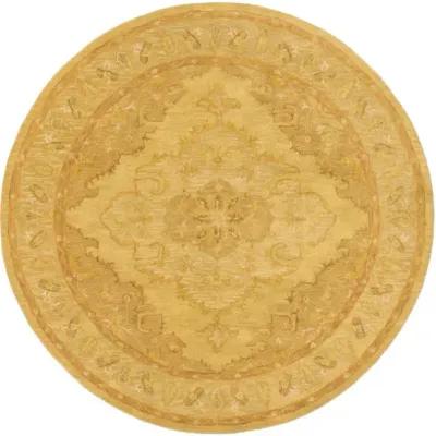 Middleton AWHR-2059 2'3" x 12' Rug