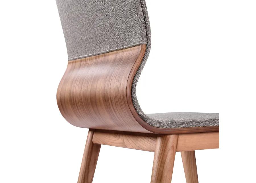 Robin Mid-Century Dining Chair - Set of 2