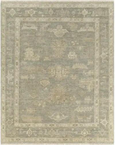 Antalya AAT-2306 9' x 12' Handmade Rug