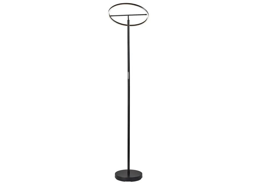 Falcon LED Floor Lamp w. Smart Switch