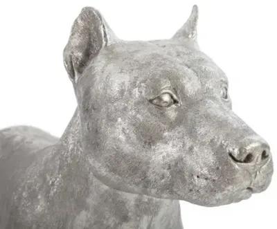 pit bull, silver leaf