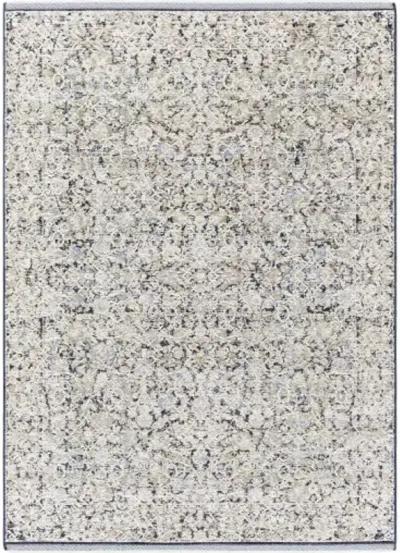 Rivaldo RVD-2300 2'4" x 3'9" Machine Woven Rug