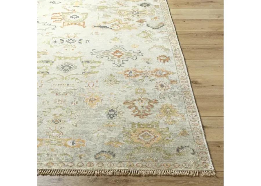 Shiraz SHZ-2301 8' x 10' Handmade Rug