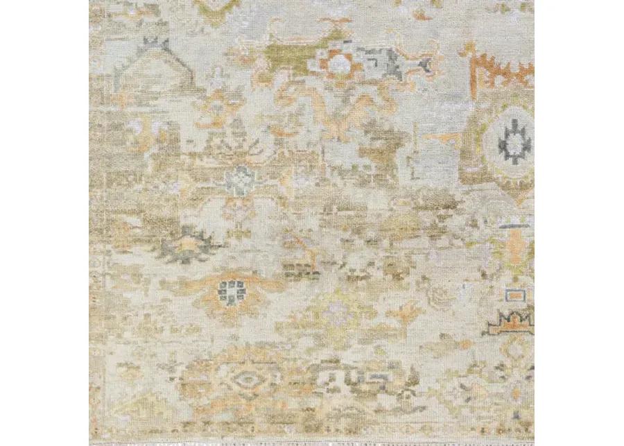 Shiraz SHZ-2301 8' x 10' Handmade Rug