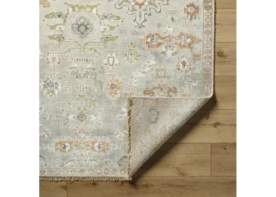 Shiraz SHZ-2301 8' x 10' Handmade Rug