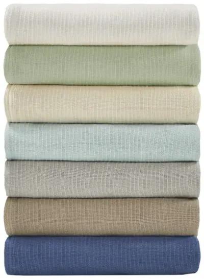 Madison Park Freshspun Basketweave Natural Cotton Blanket