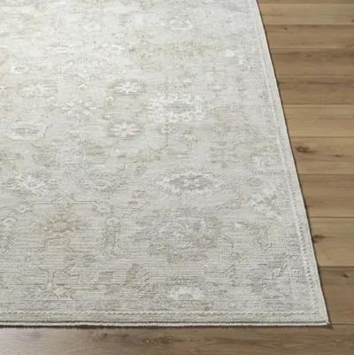 Emory EMO-2306 2'7" x 10' Machine Woven Rug