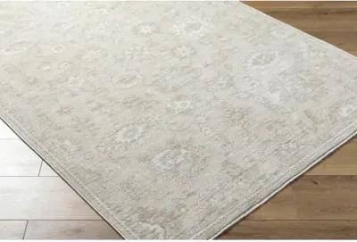 Emory EMO-2306 2'7" x 10' Machine Woven Rug