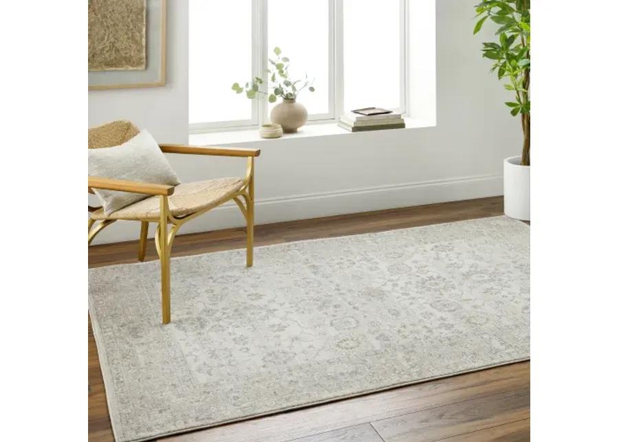 Alpharetta APH-2304 9'2" x 12' Machine Woven Rug